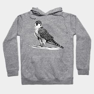 Peregrine Falcon in Nankin ink Hoodie